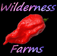 WildernessFarms - SeedsIO.com Profile Photo