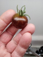 mbsinmich - SeedsIO.com Profile Photo