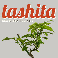 tashita - SeedsIO.com Profile Photo